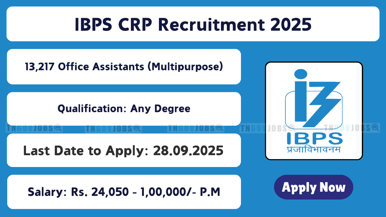 IBPS RRB recruitment 2025: Apply online for 13,217 Office Assistant and Officer (Scale-I, II, III) posts at ibps.in before 28.09.2025.
