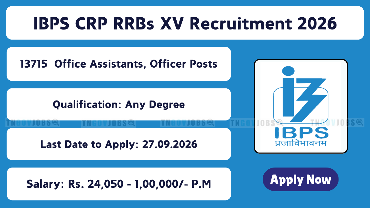 IBPS CRP RRBs XV Recruitment 2026