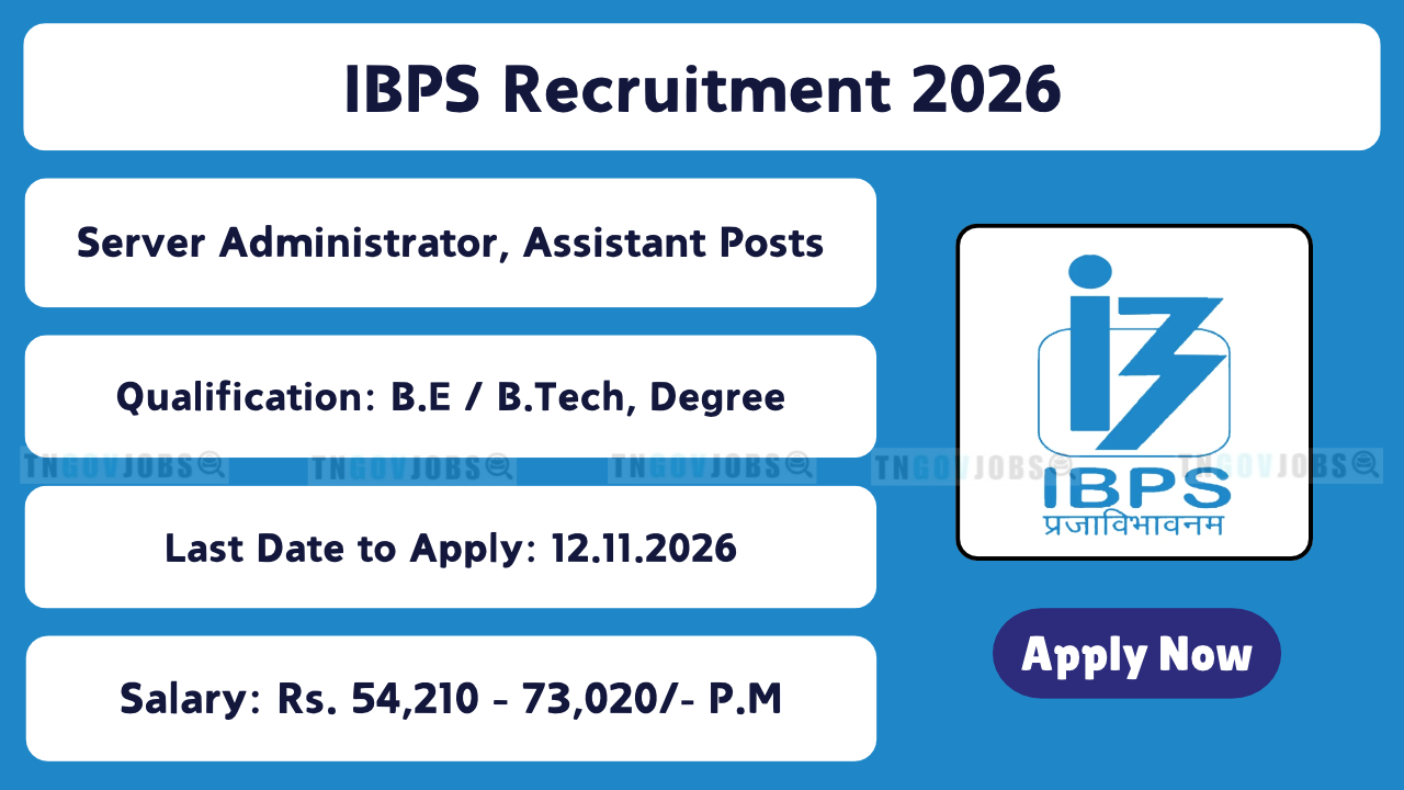 IBPS Recruitment 2026